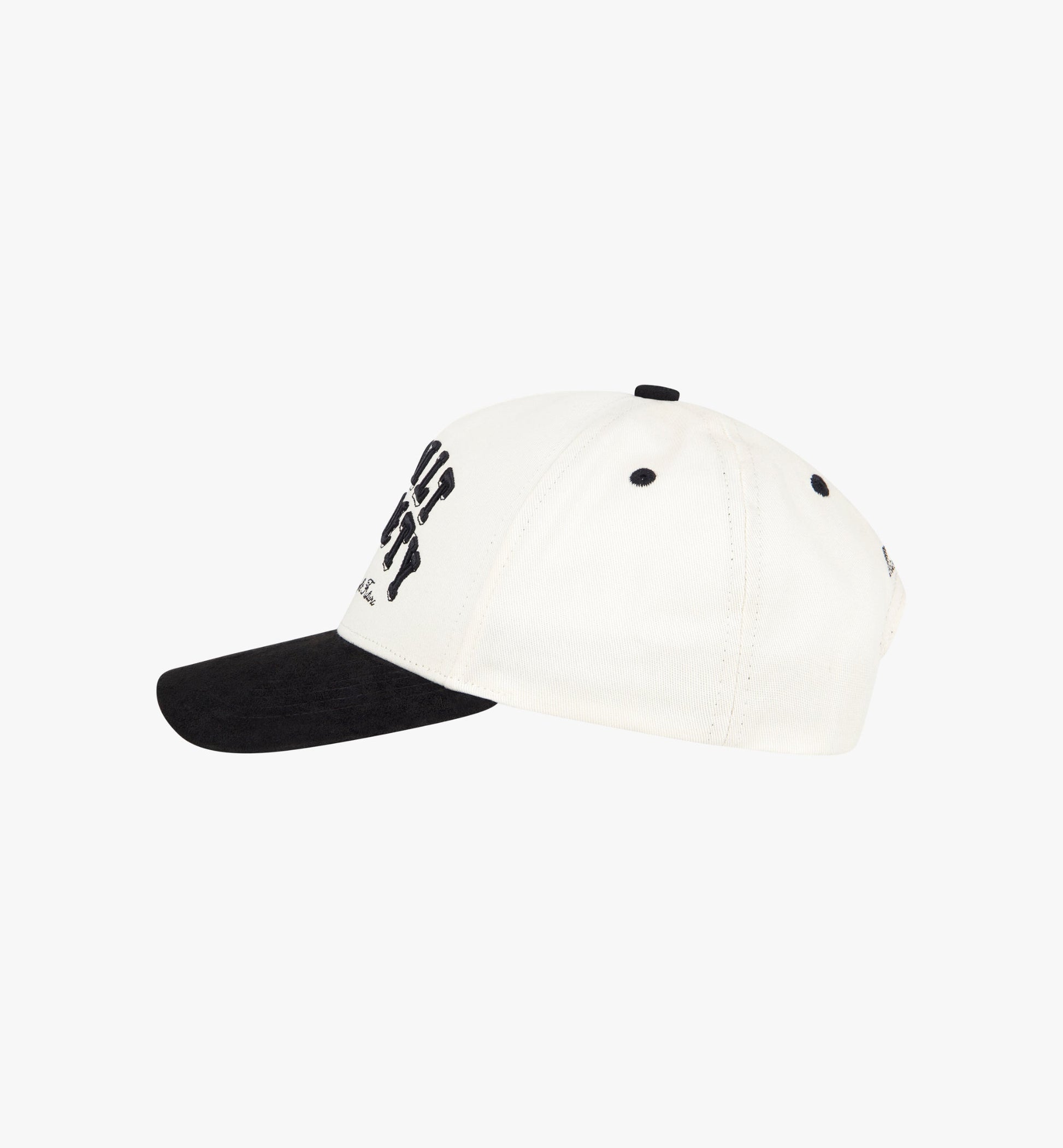 Cap Vision II-2